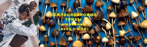 соль ск Горно-Алтайск