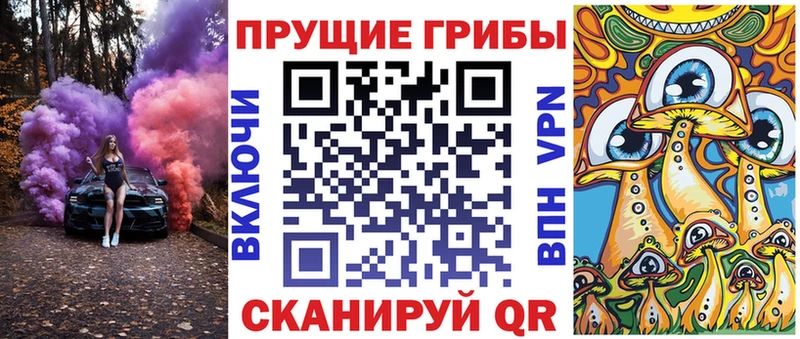Купить где  Армянск  Галлюциногенные грибы GOLDEN TEACHER 